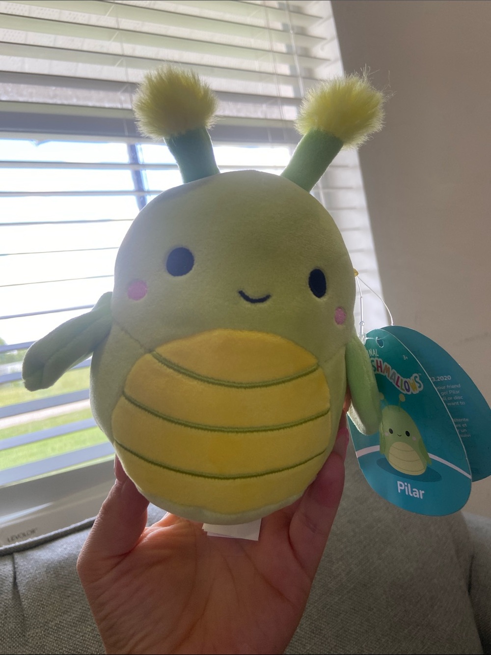 Squishmallows Pilar Plush - Light Green and Yellow